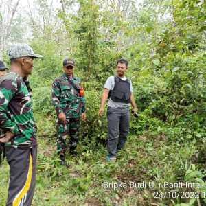 Petugas Sisir Hutan Cari BB