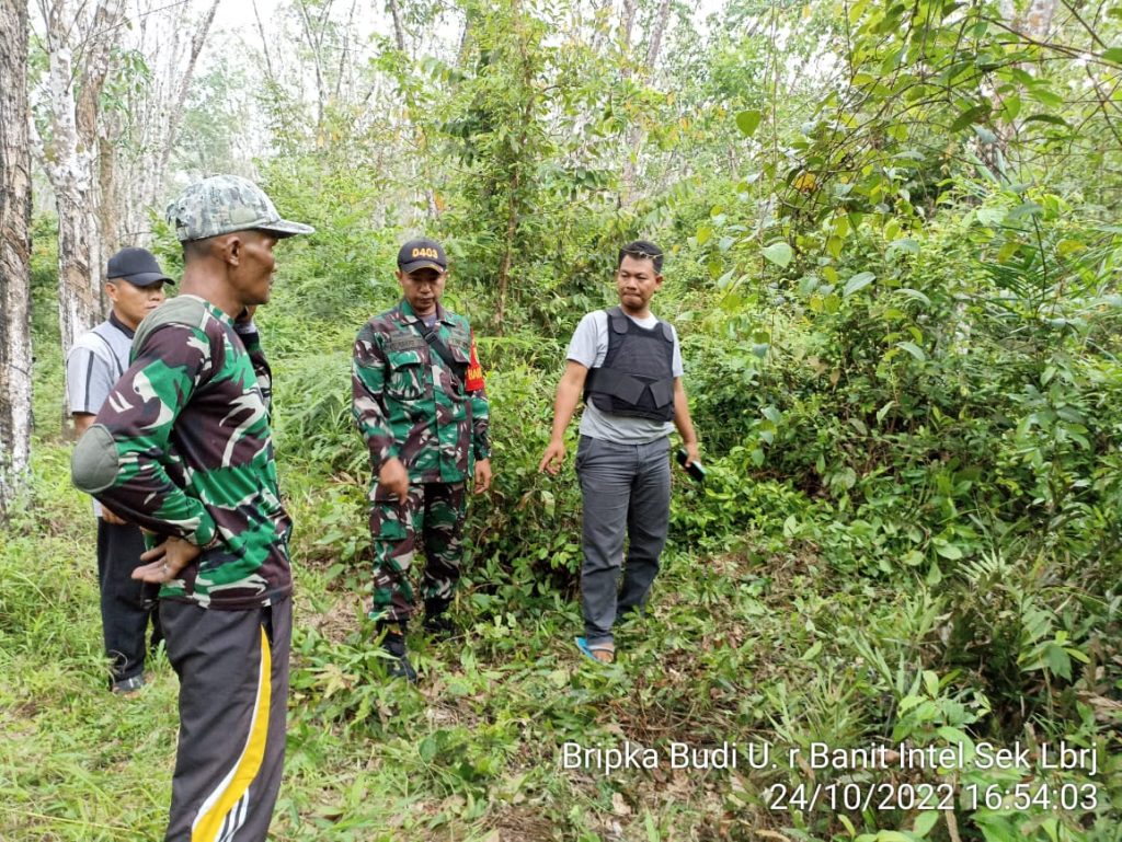 Petugas Sisir Hutan Cari BB