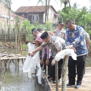 Pj Bupati OKU H Teddy Meilwansyah SSTP MM MPd melakukan penebaran benih ikan di kolam rakyat Desa Bunga Tanjung Kecamatan Lengkiti OKU