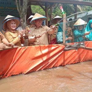 Pj Buati OKU H Teddy Meilwansyah SSTP MM MPd dan Pj Ketua Tim Penggerak PKK Kabupaten OKU Hj Zwesti Karenia Teddy saat panen raya Ikan Lele Kelompok Pembudidaya Ikan Mutiara Lele Desa Pandan Dulang Kecamatan Semidangaji Kabupaten OKU. Foto Kanalberita.id / Apriansyah