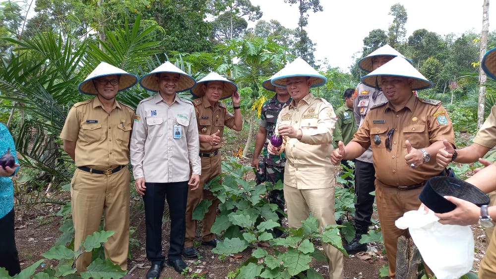 Pj Buati OKU H Teddy Meilwansyah SSTP MM MPd dan Pj Ketua Tim Penggerak PKK Kabupaten OKU Hj Zwesti Karenia Teddy saat panen raya sayuran Kelompok Tani Mutiara Pandan Desa Pandan Dulang Kecamatan Semidangaji Kabupaten OKU. Kanalberita.id / Apriansyah