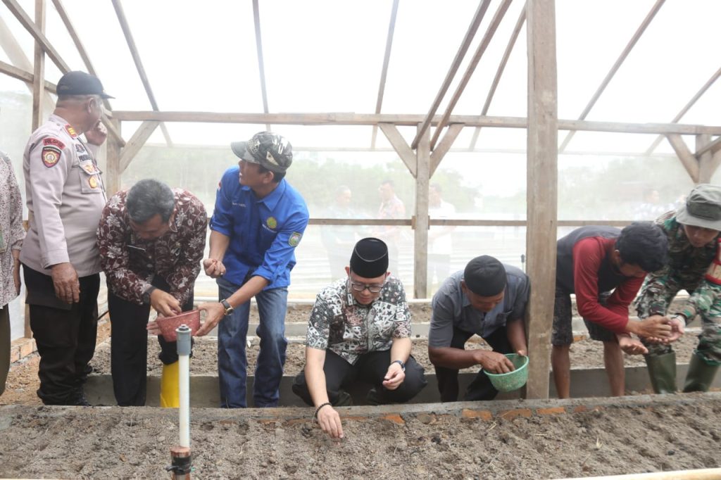 Pj Bupati OKU H Teddy Meilwansyah SSTP MM MPd melakukan penanaman bawang merah di Desa Tungku Jaya, Kecamatan Sosoh Buay Rayap. Foto dokumen Humas Pemkab OKU