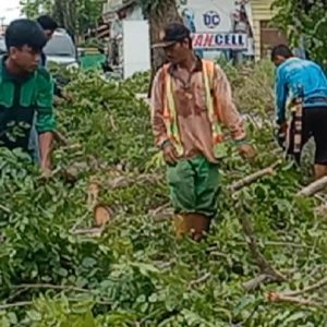 Dinas Perkim OKU dipimpin langsung oleh Kabid Kawasan Pemukiman, Ir H Mujaim Aliansyah ST MSi IPM saat melakukan pemampasan pohon-pohon di bahu jalan. Foto Kanalberita.id / Apriansyah