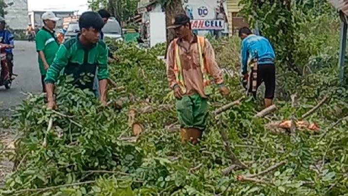 Dinas Perkim OKU dipimpin langsung  oleh Kabid Kawasan Pemukiman, Ir H Mujaim Aliansyah ST MSi IPM saat melakukan pemampasan pohon-pohon di bahu jalan. Foto Kanalberita.id / Apriansyah