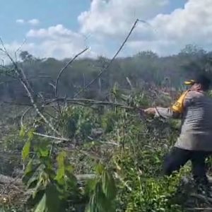 Kapolres OKU AKBP Arif Harsno SIK MH turun langsung ikut memadakan api kebakaran lahan di titik koordinat 4.056944,104.238333, Talang Tanjung Sari, Desa Lubuk Batang Kecamatan Lubuk Batang Kabupaten OKU (Ogan Komering Ulu). Foto dokumen polisi.