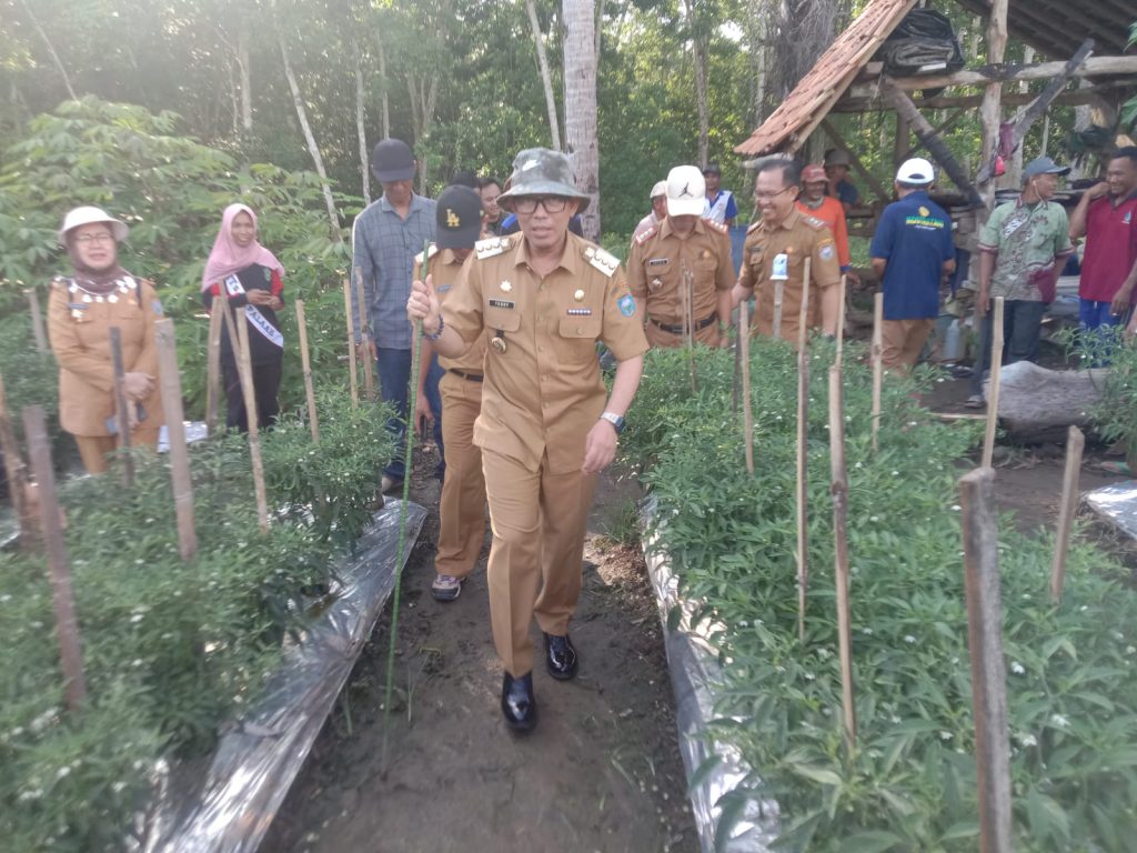 Pj Bupati OKU dan rombongan meninjau kebun cabai milik Kelompok Tani Cabai Harapan Makmur Desa Karya Jaya Kecamtan Sinar Peninjaun OKU. Kanalberita.id