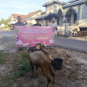 Operasional Manajer Citimall Baturaja, Dimas Saputra mewakili manajemen menyerahkan hewan kurban kepada pengurus masjid yang berada disekitar Citimall Baturaja. Kanalberita.id / Edo