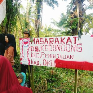 Ratusan warga Desa Kedondong Kecamatan Peninjauan Kabupaten OKU bertekad akan memeprtahankan kebun milik desa yang saat ini diklim oleh MMS.