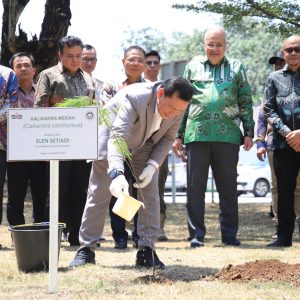 Penjabat (Pj) Gubernur Sumatera Selatan (Sumsel) Elen Setiadi menanam pohon Kalianmdra Merah dilingkungan PT Semen Baturaja Tbk (SMBR). Foto dokumen Humas SMBR