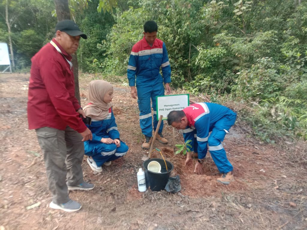 PT Pertamina Hulu Energi Ogan Komering Field, menggelorakan penghijauan di Taman Hutan Kota Baturaja dengan menanam bibit buah-buahan Jumat (15/11/2024). Kanalberita.id / Edo