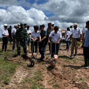 PT Perkebunan Minanga Ogan bersama pihak terkait menanam benih jagung di Afd 1 SOGE dalam rangka mendukung program Presiden Prabowo Subianto muwujudkan swasembada pangan 2025. Foto dokumen PT Perkebunan Minanga Ogan.