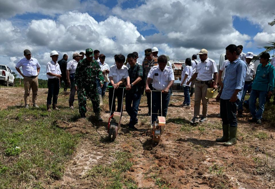 PT Perkebunan Minanga Ogan bersama pihak terkait menanam benih jagung di Afd 1 SOGE dalam rangka mendukung program Presiden Prabowo Subianto muwujudkan swasembada pangan 2025. Foto dokumen PT Perkebunan Minanga Ogan.