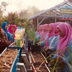 Tri Ningsih (57) dan para perempuan di KWT Kemuning mampu mewujudkan ketahanan pangan setelah mendapatkan sejumlah pelatihan di program MUDA BERSAMA yang dilaksanakan PEP Prabumulih Field. Foto dokumen PEP Prabumulih Field