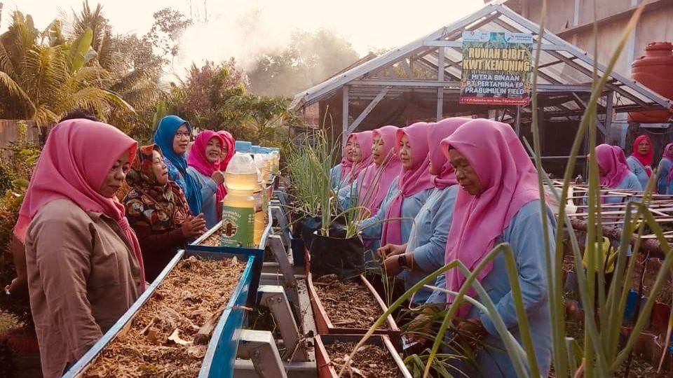 Tri Ningsih (57) dan para perempuan di KWT Kemuning mampu mewujudkan ketahanan pangan setelah mendapatkan sejumlah pelatihan di program MUDA BERSAMA yang dilaksanakan PEP Prabumulih Field. Foto dokumen PEP Prabumulih Field