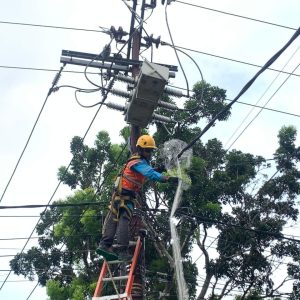 PLN Unit Layanan Pelanggan (ULP) Teluk Segara dengan pemasangan jaring pengaman satwa pada jaringan listrik di wilayah Kelurahan Kandang Limun. Foto dokumen PT PLN
