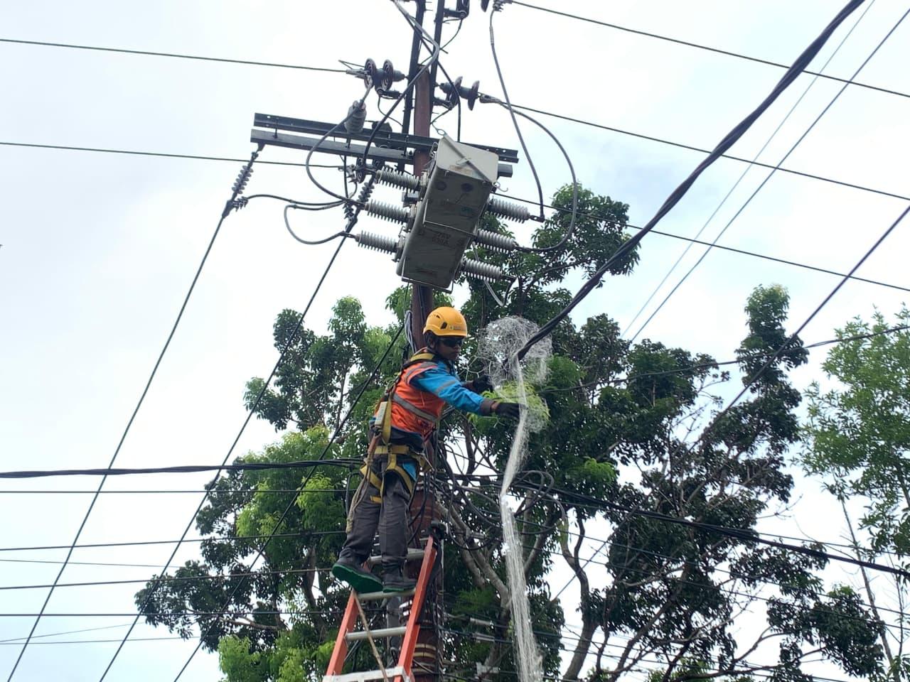 PLN Unit Layanan Pelanggan (ULP) Teluk Segara dengan pemasangan jaring pengaman satwa pada jaringan listrik di wilayah Kelurahan Kandang Limun. Foto dokumen PT PLN