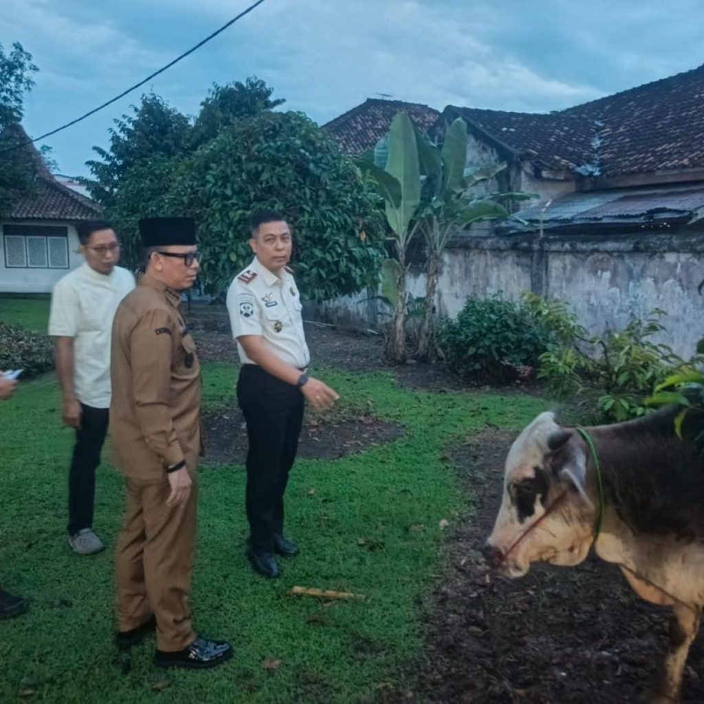 Bupati OKU, H Teddy Meilwansyah SSTP MM MPd serahkan hewan qurban kepada Kepala Rutan Kelas II B Baturaja Fitri Yadi SH MSI. Foto dokumen Rutan Baturaja