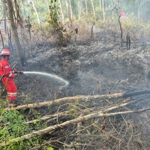PHR Zona 4 bersama masyarakat dan instansi terkait bahu membahu melakukan pemadaman karhutla diseluruh wilayah kerja di Sumsel. Foto dokumen PHR Zona 4