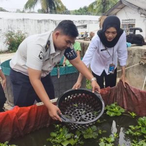 Peserta magang Kementerian Ketenagakerjaan di Rutan Baturaja bersama jajaran petugas dan warga binaan lakukan penyortiran (grading) ikan lele di area budidaya perikanan rutan. Foto dokumen Rutan Baturaja